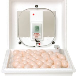 Little Giant 9300 Egg Incubator, 110 V, 41 Large Chicken Eggs Egg, Styrofoam