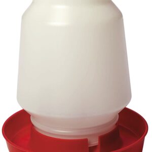 Little Giant 7506 Complete Poultry Fount, 1 gal Capacity, Plastic, Red