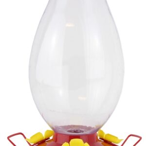 Perky-Pet 286 Bird Feeder, Rounded Vase, 33 oz, Nectar, 3-Port/Perch, Plastic, 11.8 in H, Hanging Mounting