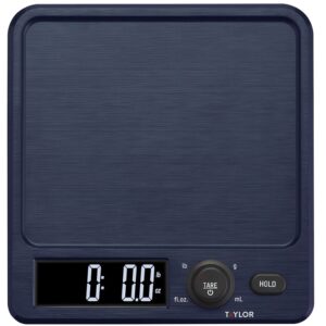 Taylor 5280827 Antimicrobial Kitchen Scale with Rotating Knob, 11 lb, Digital Display, ABS Housing Material