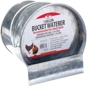 Little Giant 167611 Bucket Poultry Waterer, 1 gal Capacity, Galvanized Steel