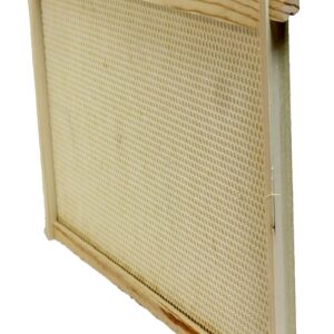 Harvest Lane Honey WWFFD-101 Bee Frame, Plastic/Wood