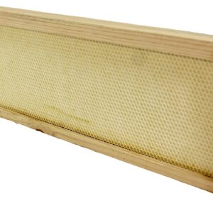 Harvest Lane Honey WWFFM-102 Bee Hive Foundation, Plastic/Wood, For: 6-7/8 in Medium Honey Super Boxes