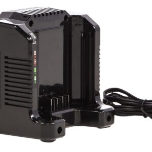 Greenworks Pro 2958602AZ Dual-Port Rapid Charger, 80 V, 5 Ah, 8 A Charge, 90 min Charge