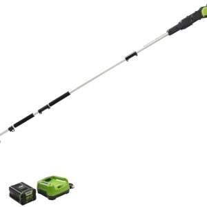 Greenworks 1405802 Pole Saw, Aluminum Pole