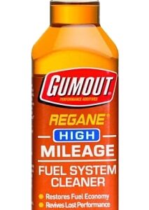 Gumout Regane 510023 Series Fuel System Cleaner Yellow, 6 oz Bottle