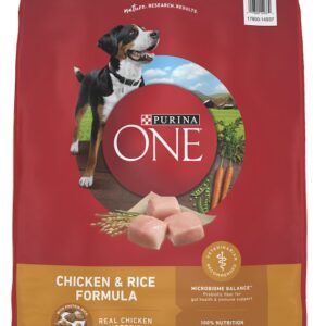 Purina ONE SmartBlend 14937 Dog Food, Adult Breed, Wet, Brown Rice, Lamb Flavor, 16.5 lb Can