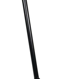Rubbermaid 1887090 Dustpan, 12.8 in L, 11.3 in W, Black