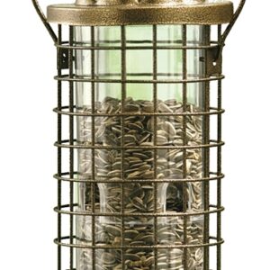 Perky-Pet 114 Squirrel Stumper Feeder, Metal/Plastic, Clear, Antique Gold, Hanging Mounting